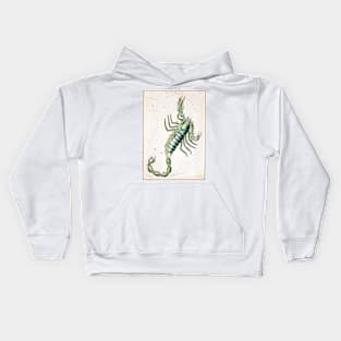 The Scorpio by Sidney Hall (1831) Kids Hoodie